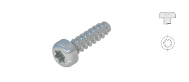             Screws for Plastic
      ,             Pan head with TX-drive
      , WN5452 / WN1452, STP39